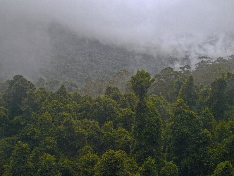 Blue Mountains